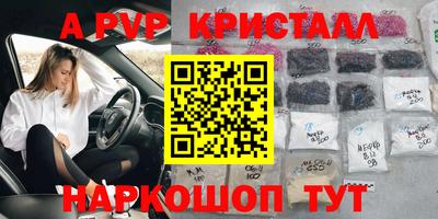 ешки Славгород
