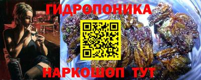 ешки Славгород