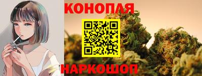 ешки Славгород