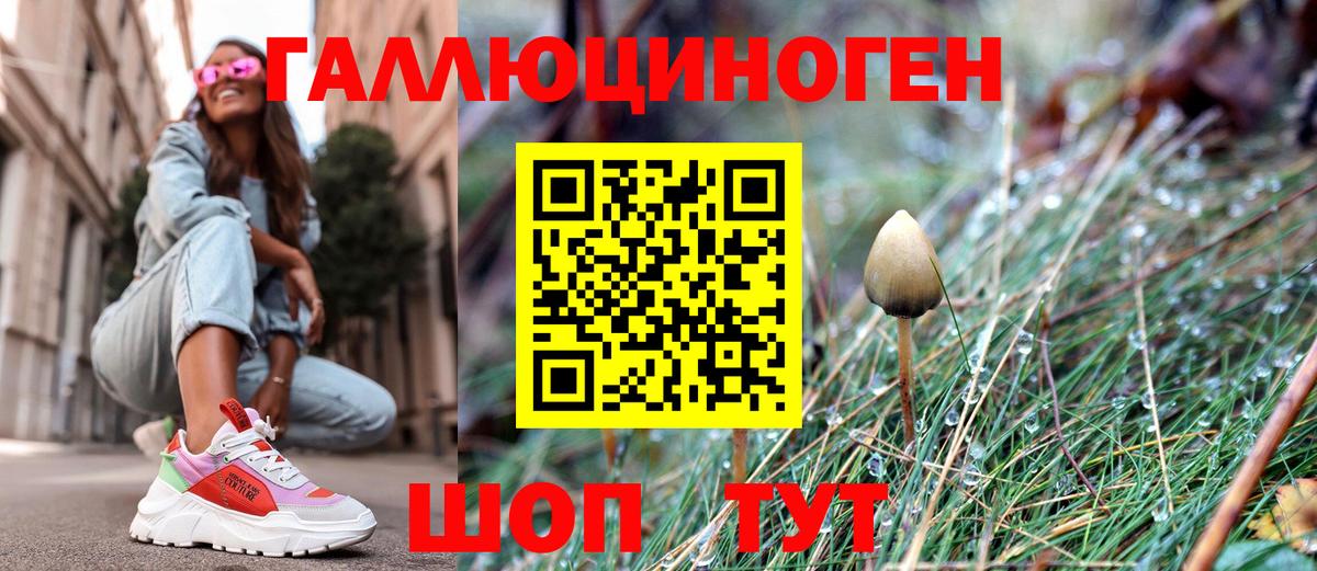 Галлюциногенные грибы GOLDEN TEACHER  Вход с VPN  Нурлат 